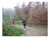 thumbnail8