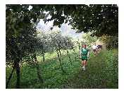 thumbnail11