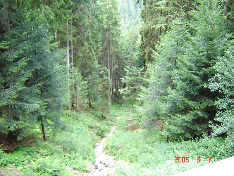 image11