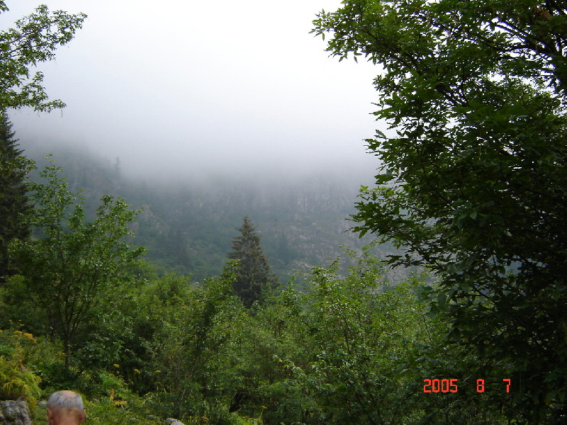 image12
