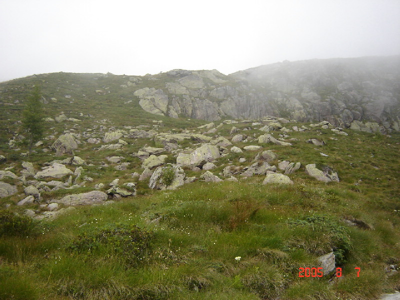 image14