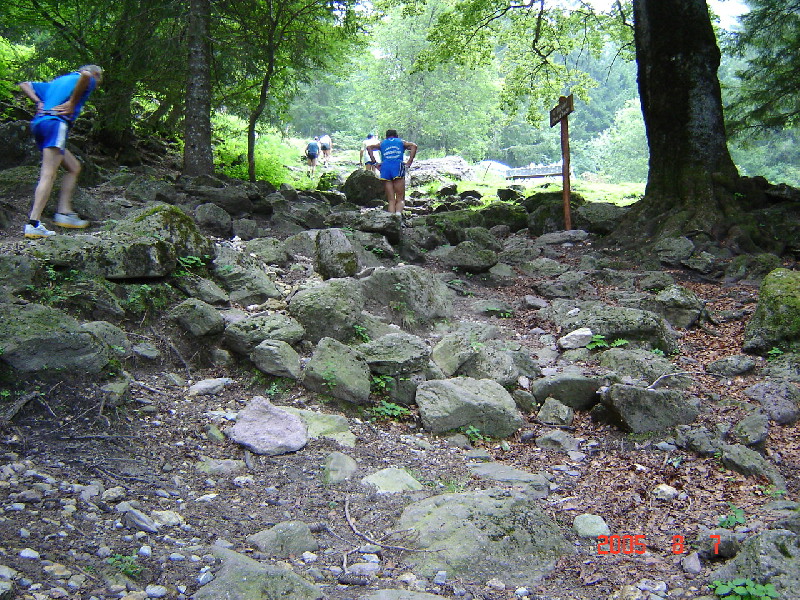 image15
