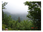 thumbnail12