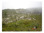 thumbnail14