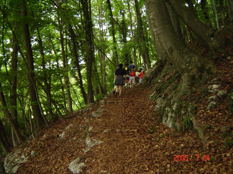 image8