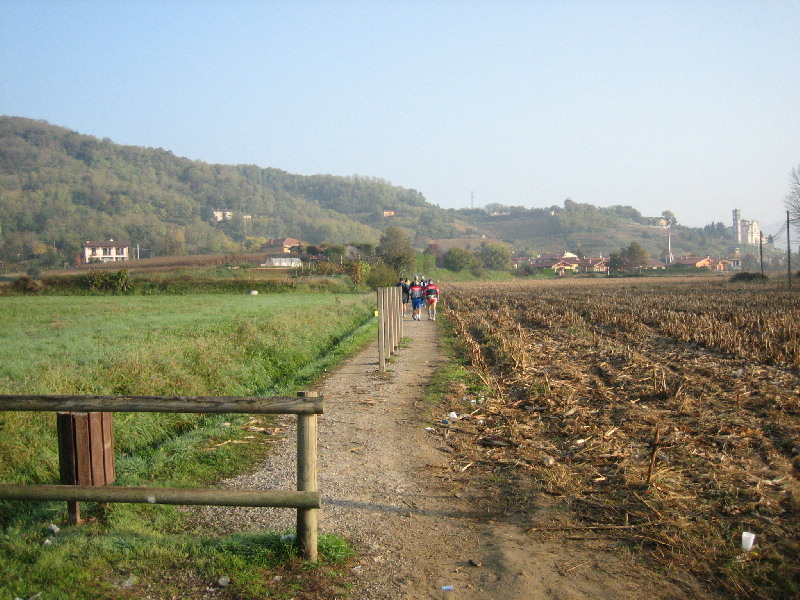 image15