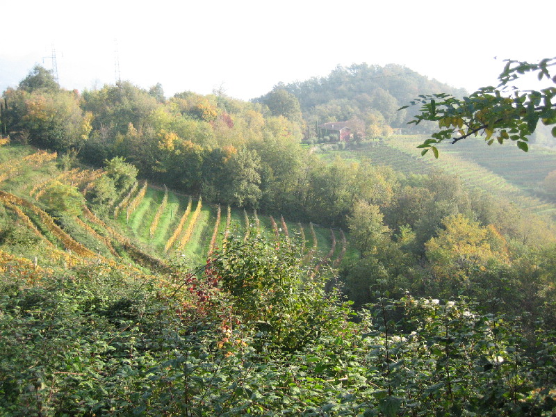image23