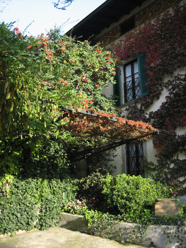 image25