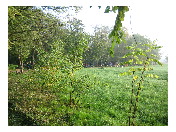 thumbnail3