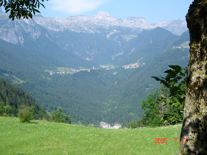 image5