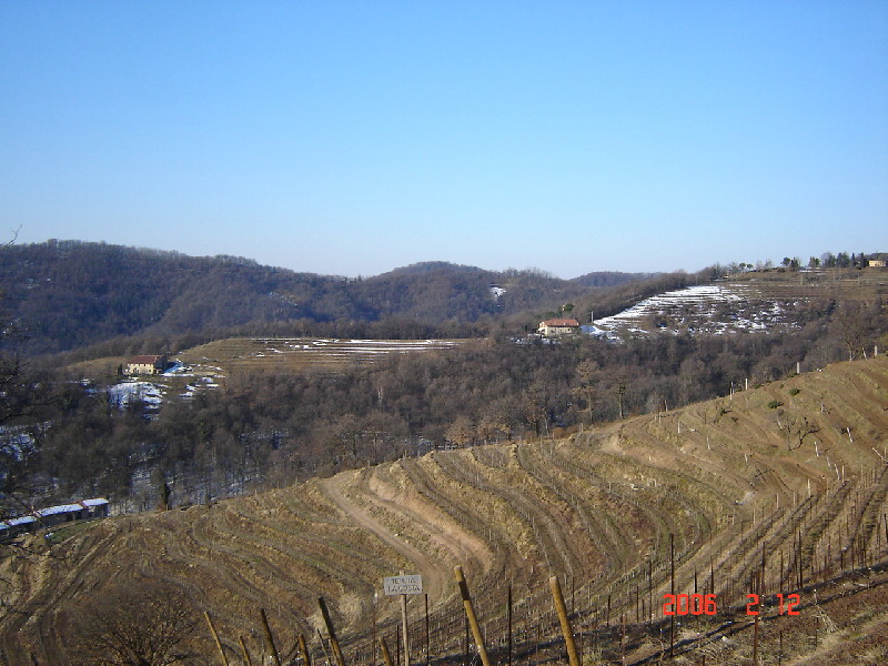 image11