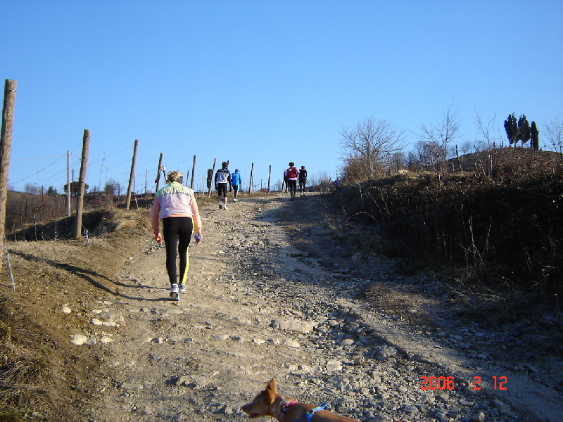 image7