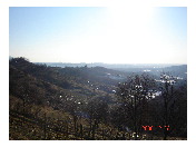 thumbnail12