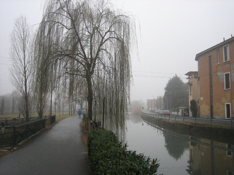 image8