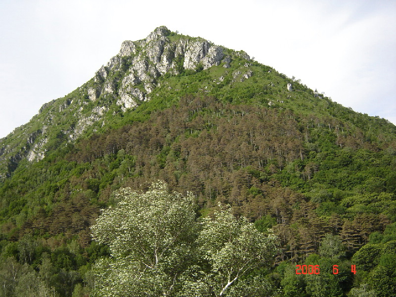 image14