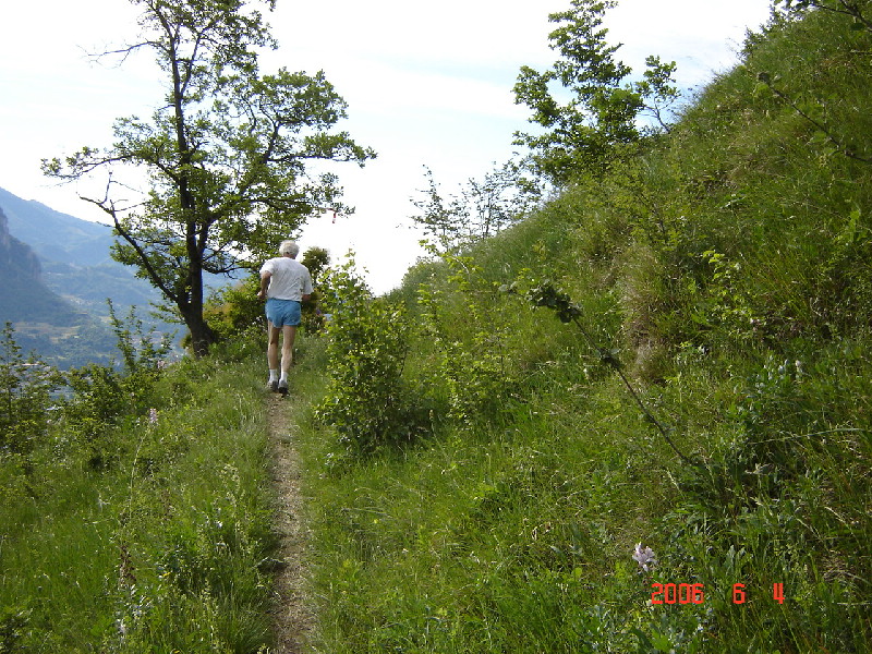 image15