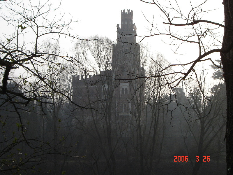image5