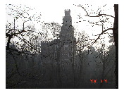 thumbnail5