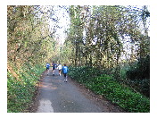 thumbnail1