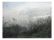 thumbnail5