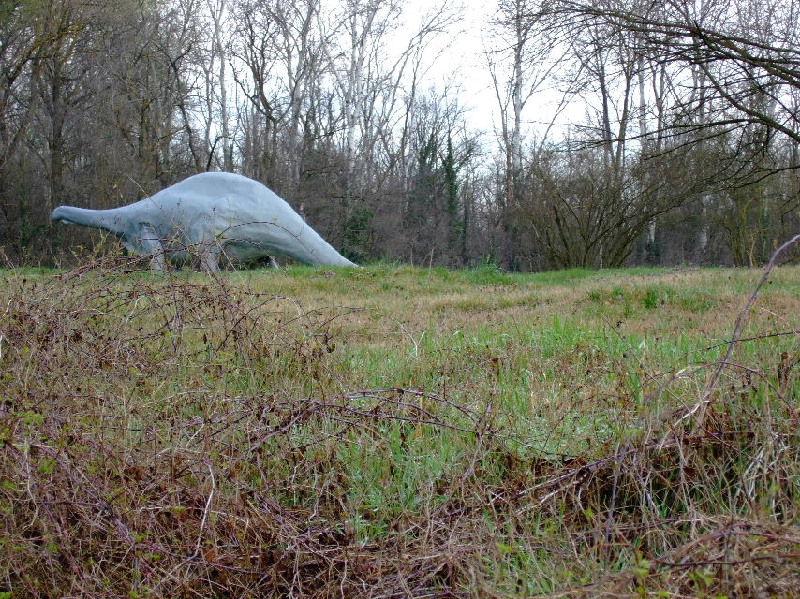 image11