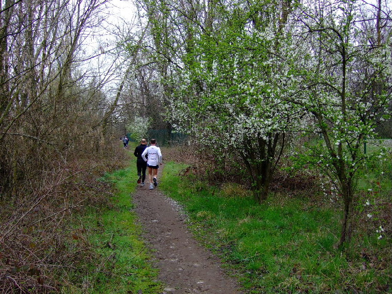 image12