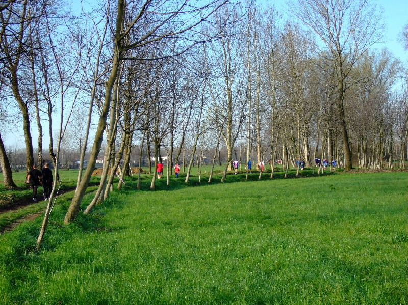 image9