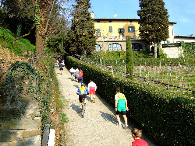 image11