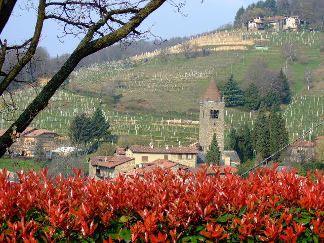 image13