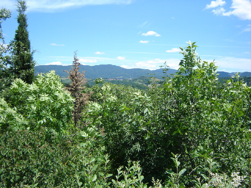 image11
