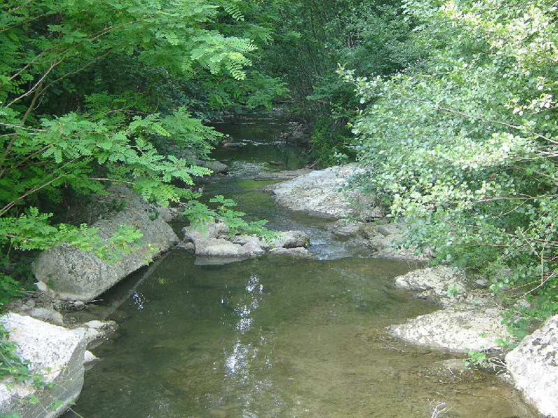 image50