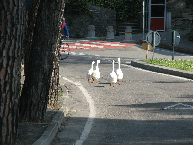 image23