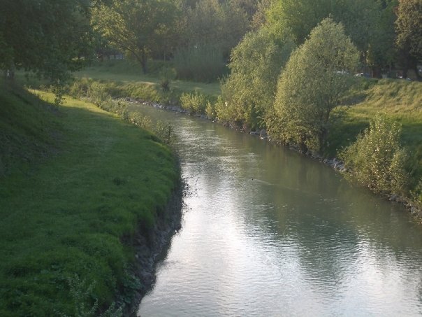 image6