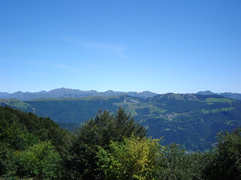 image4