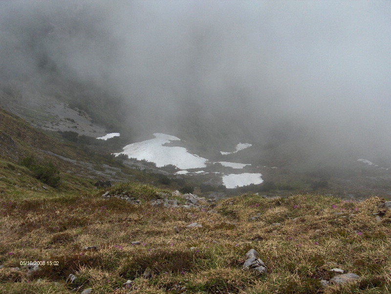 image12