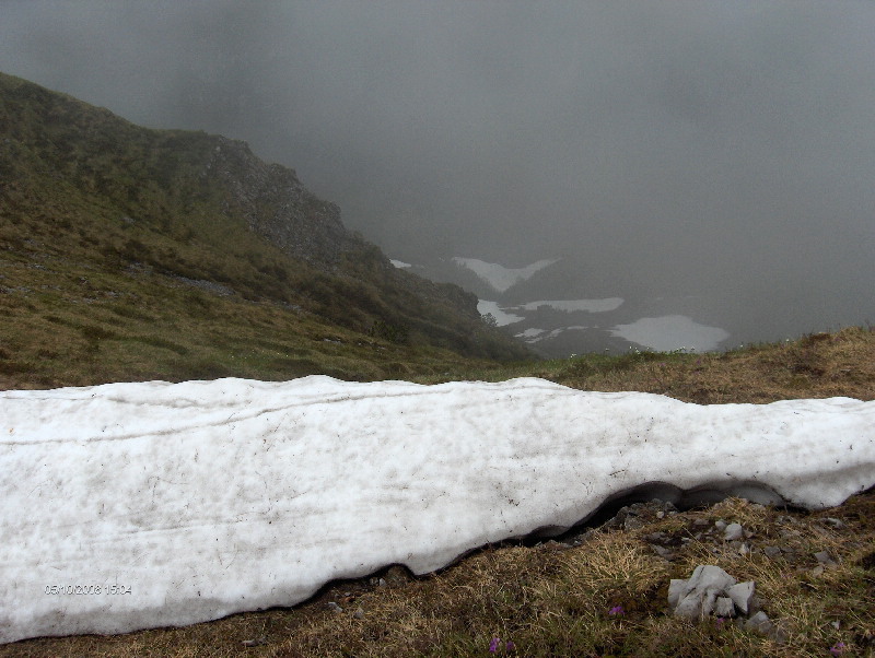 image14