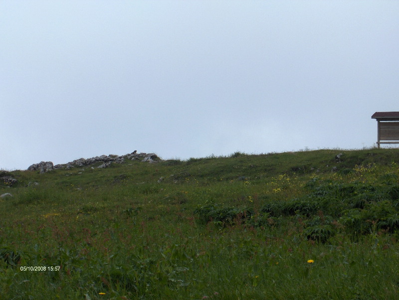 image29
