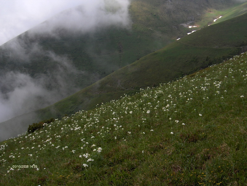 image9