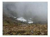thumbnail12