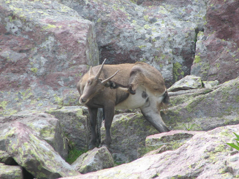 image14