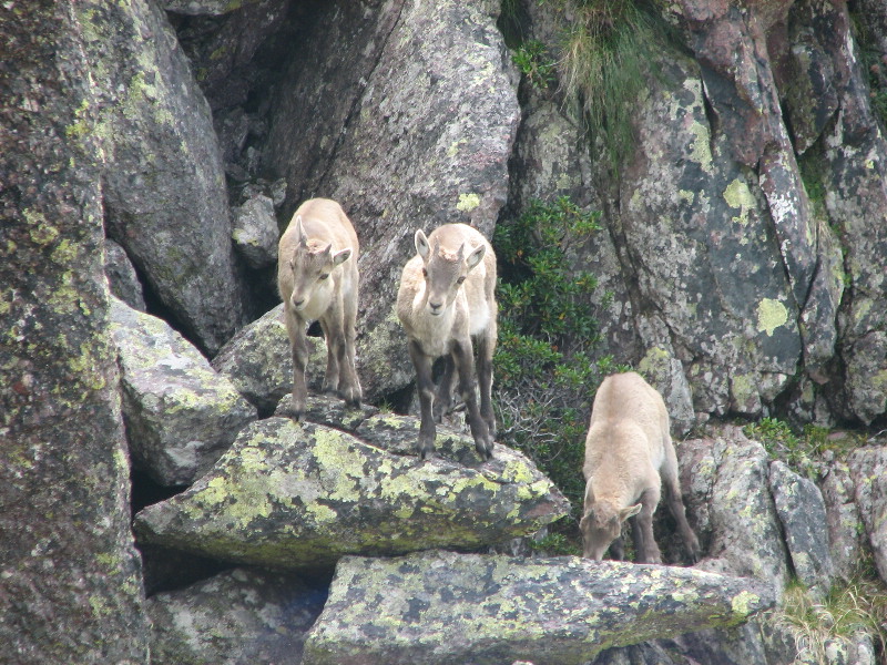 image18
