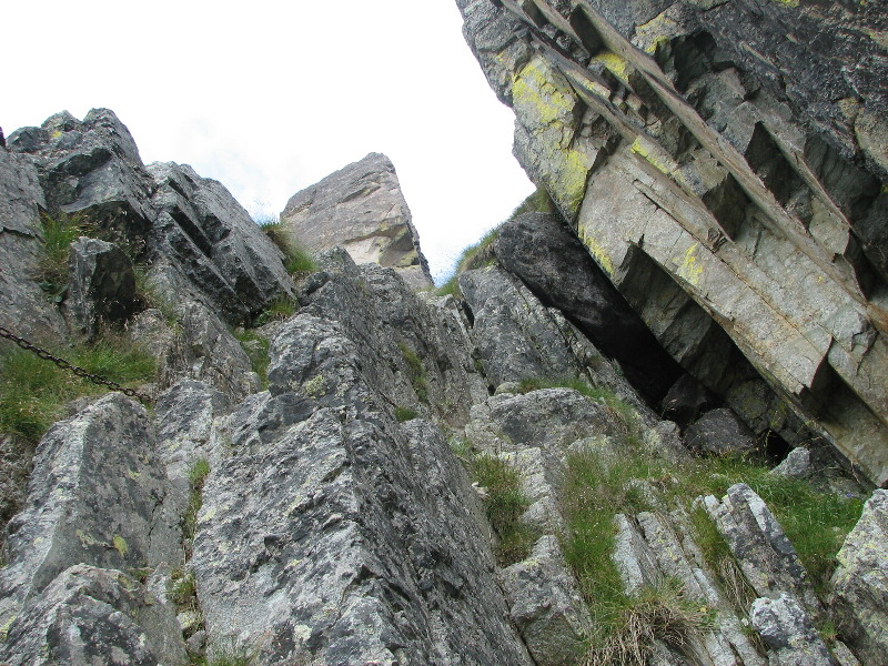 image28