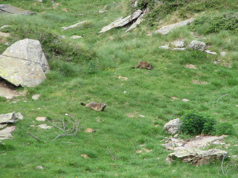 image43