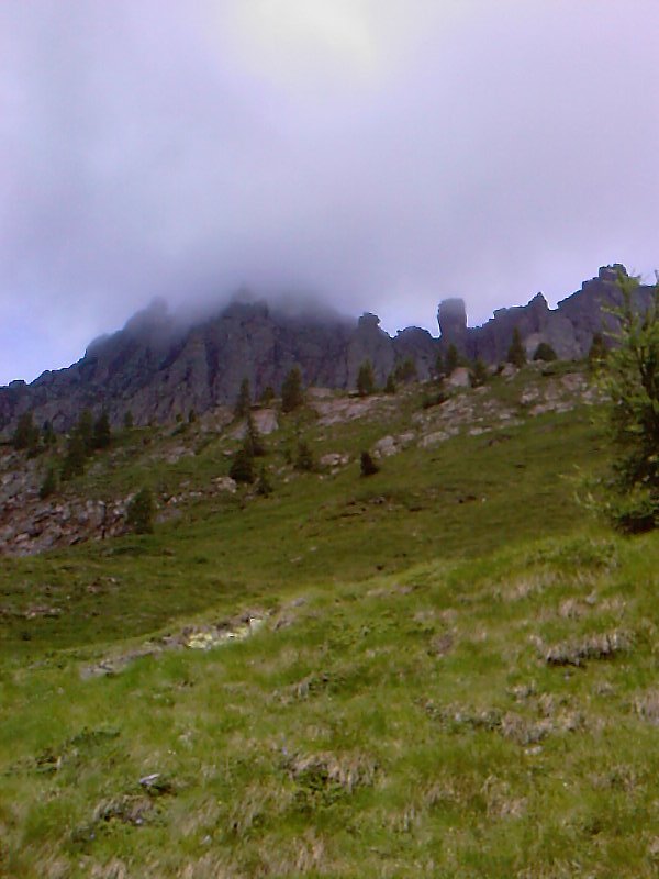 image48