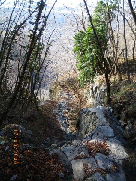 image23