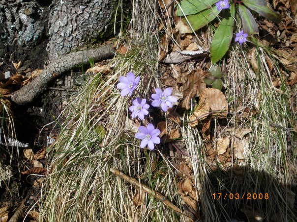 image48