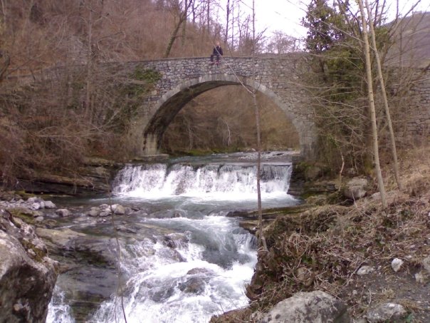 image13
