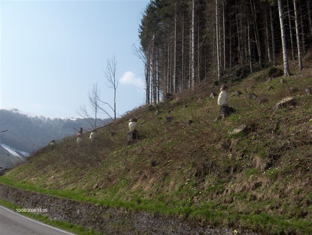 image37
