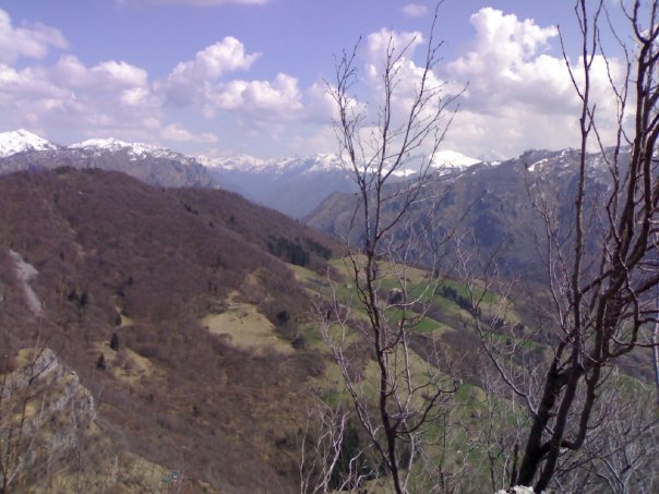 image6