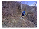 thumbnail11